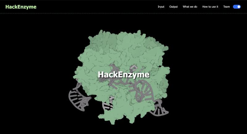 HackEnzyme Image 1